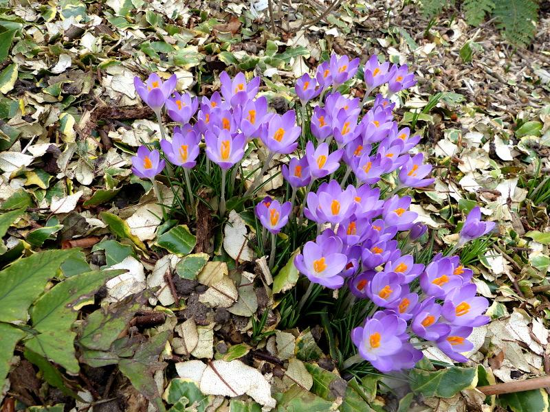 p1320128.jpg