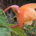 r0029956r.jpg