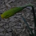 r0031296r.jpg