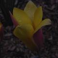 r0031739r.jpg