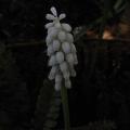 r0031779r.jpg