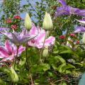 dscn0752.jpg
