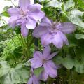 dscn1390.jpg