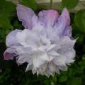 dscn1796.jpg