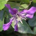 dscn3030.jpg