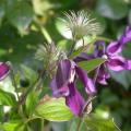 dscn3031.jpg
