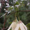 dscn7454.jpg