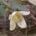 dscn7455.jpg