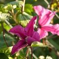 p1010535r.jpg
