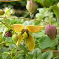p1240644_besoin_jumelles_presque.jpg