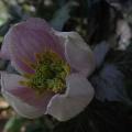 r0031716r.jpg