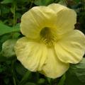 p1220100.jpg