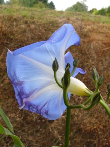 p1240361.jpg p1240361.jpg