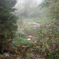 dscn5433r.jpg