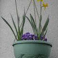 dscn0291.jpg