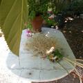 dscn2144.jpg