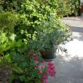 dscn2177.jpg