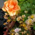 dscn2218.jpg