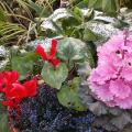 dscn3719.jpg