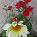 dscn5801.jpg