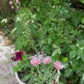 dscn5810.jpg