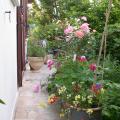 dscn5933.jpg