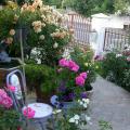 dscn6437.jpg