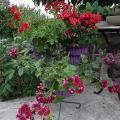 r0026668r.jpg