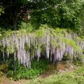 dscn1323.jpg