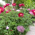 dscn1773.jpg
