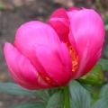 flamme_0801.jpg
