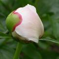 noemie_demay_5280.jpg