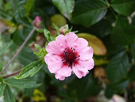 p1070551.jpg