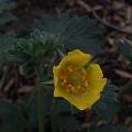 r0031845r.jpg
