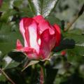 038_artiste_5040.jpg