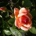 148_crepuscule5232.jpg