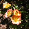 191_euphoria_0222.jpg