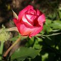 263_granada_5694.jpg