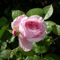 329_katryn_morley_5535.jpg
