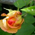 505_parure_d_or_5400.jpg