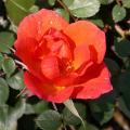742_warm_welcome_0765.jpg