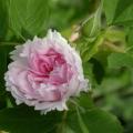dscn1275.jpg