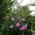 dscn1780.jpg