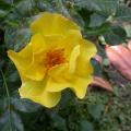 dscn3096.jpg