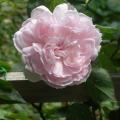 dscn3263.jpg