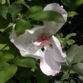 dscn3268.jpg