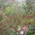 dscn5432.jpg