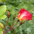 dscn8454.jpg