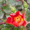 dscn8472.jpg