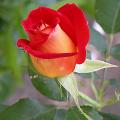 dscn8506_soleil_rouge.jpg